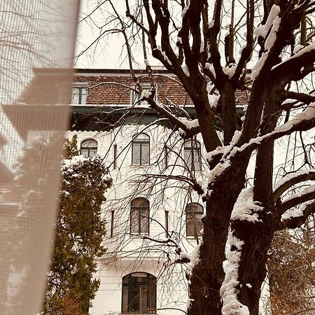 Apartment 5 Min Schoenbrunn Gloriette, Direct To City Center, Free Parking Wien Exteriör bild